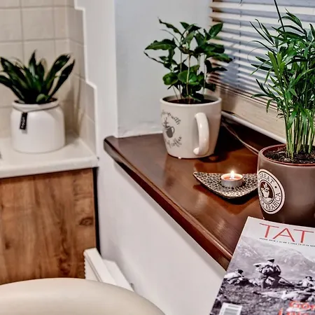 Pod Nosalem & Sauna,jacuzzi Apartment Zakopane